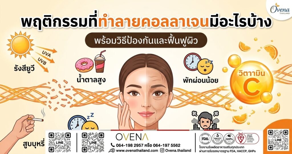 พฤติกรรมที่ทำลายคอลลาเจนมีอะไรบ้าง gemini generated image 6o4lqi6o4lqi6o4l
